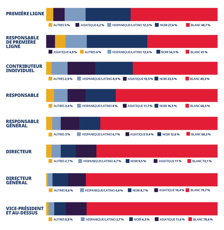 Tableau des origines ethniques des employés par niveau hiérarchique